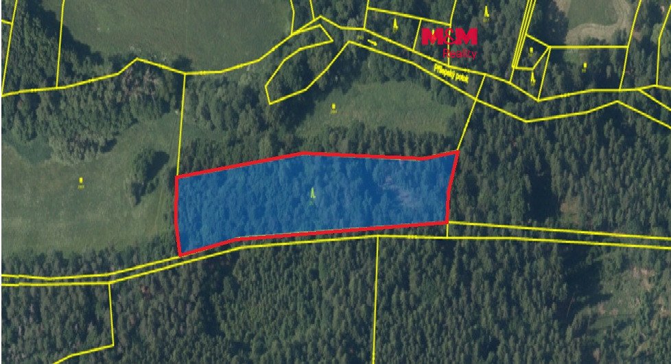 Prodej lesa, 7138 m², Chyňava