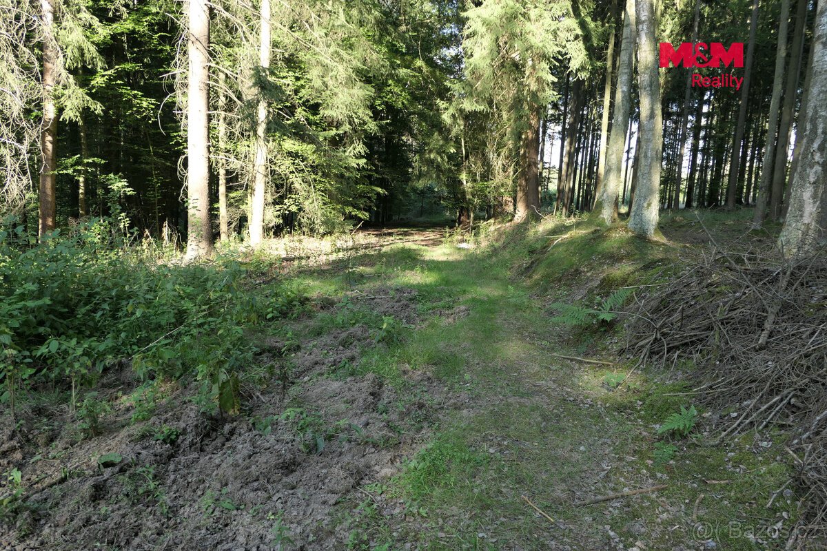 Prodej lesa, 7138 m², Chyňava