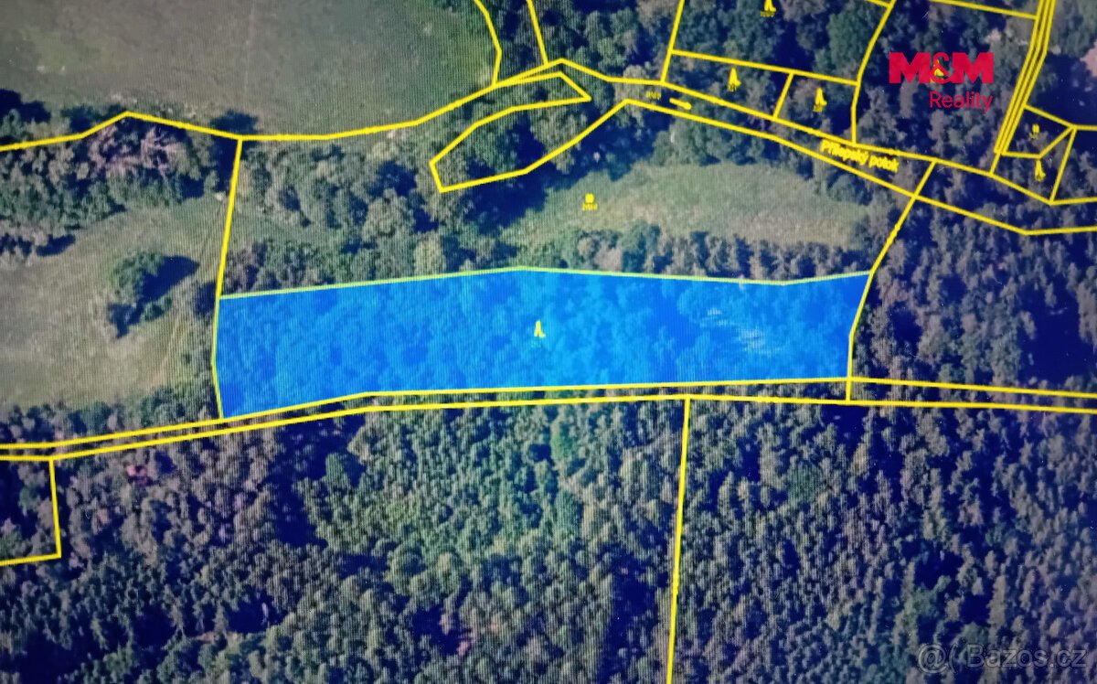 Prodej lesa, 7138 m², Chyňava