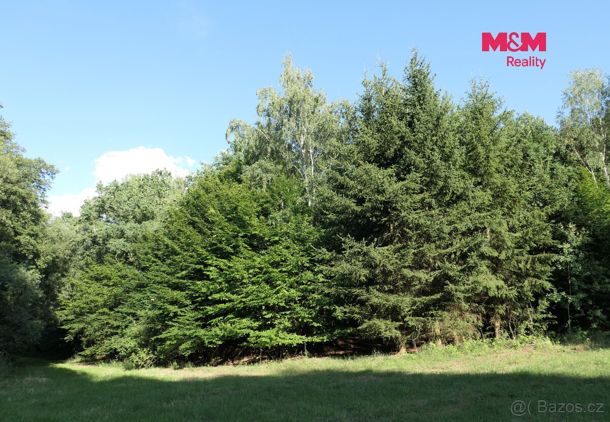 Prodej lesa, 7138 m², Chyňava