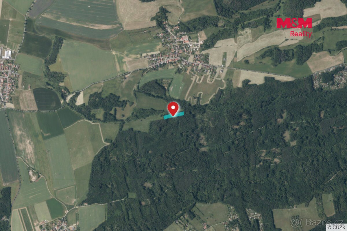 Prodej lesa, 7138 m², Chyňava