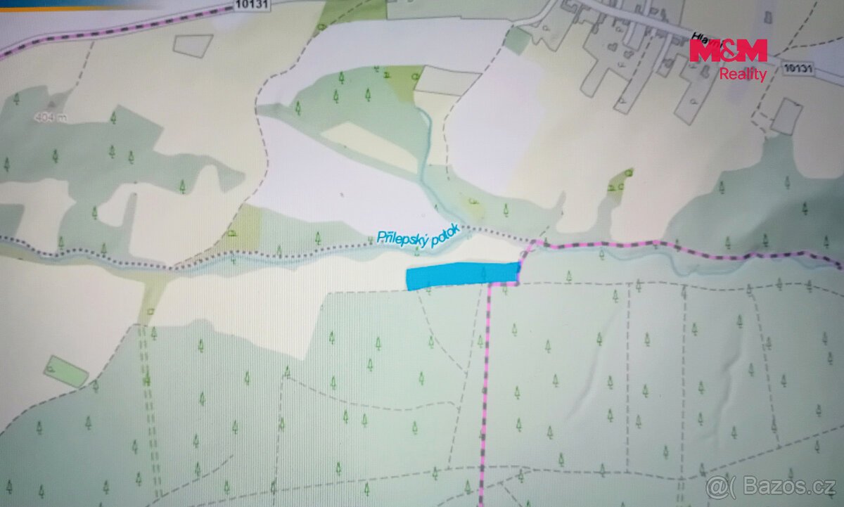 Prodej lesa, 7138 m², Chyňava