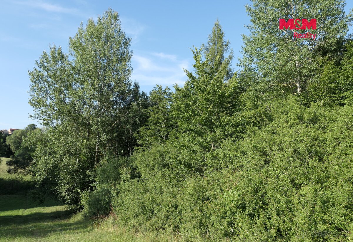 Prodej lesa, 7138 m², Chyňava