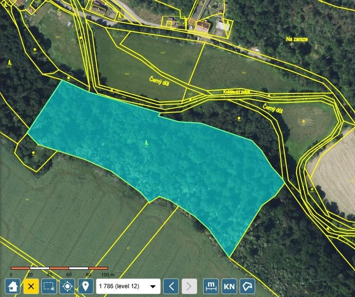 Prodej lesa - Velké Všelisy (18 Kč/m2)