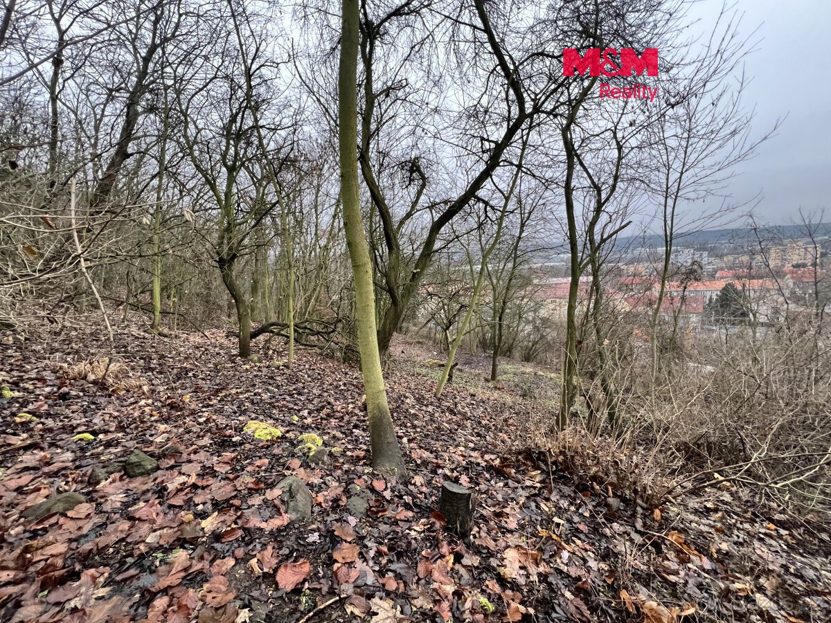 Prodej pozemku k bydlení, 1101 m², Bílina
