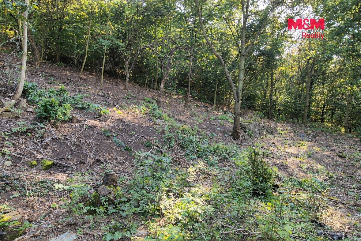 Prodej pozemku k bydlení, 1101 m², Bílina