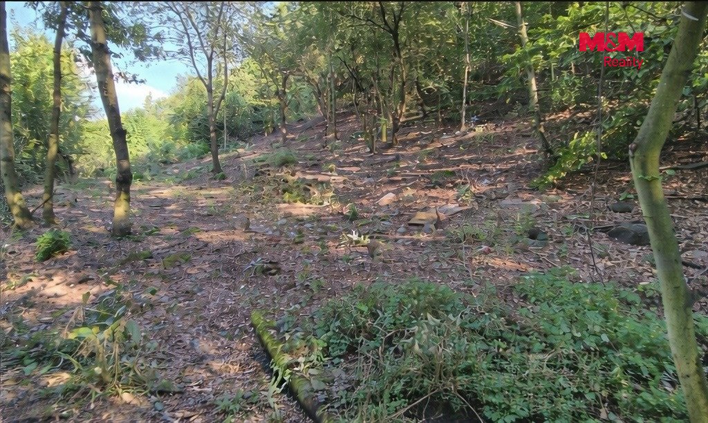 Prodej pozemku k bydlení, 1101 m², Bílina