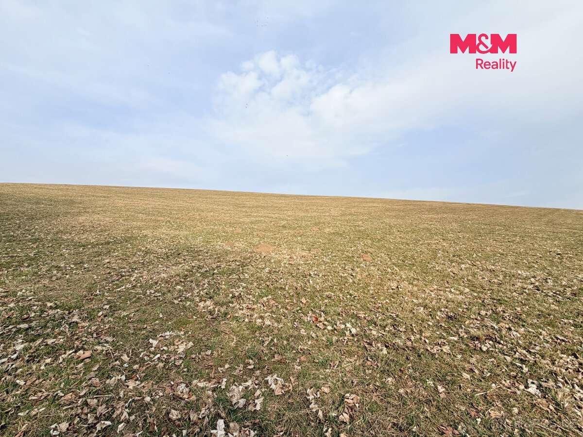 Prodej louky, 7222 m², Lichkov