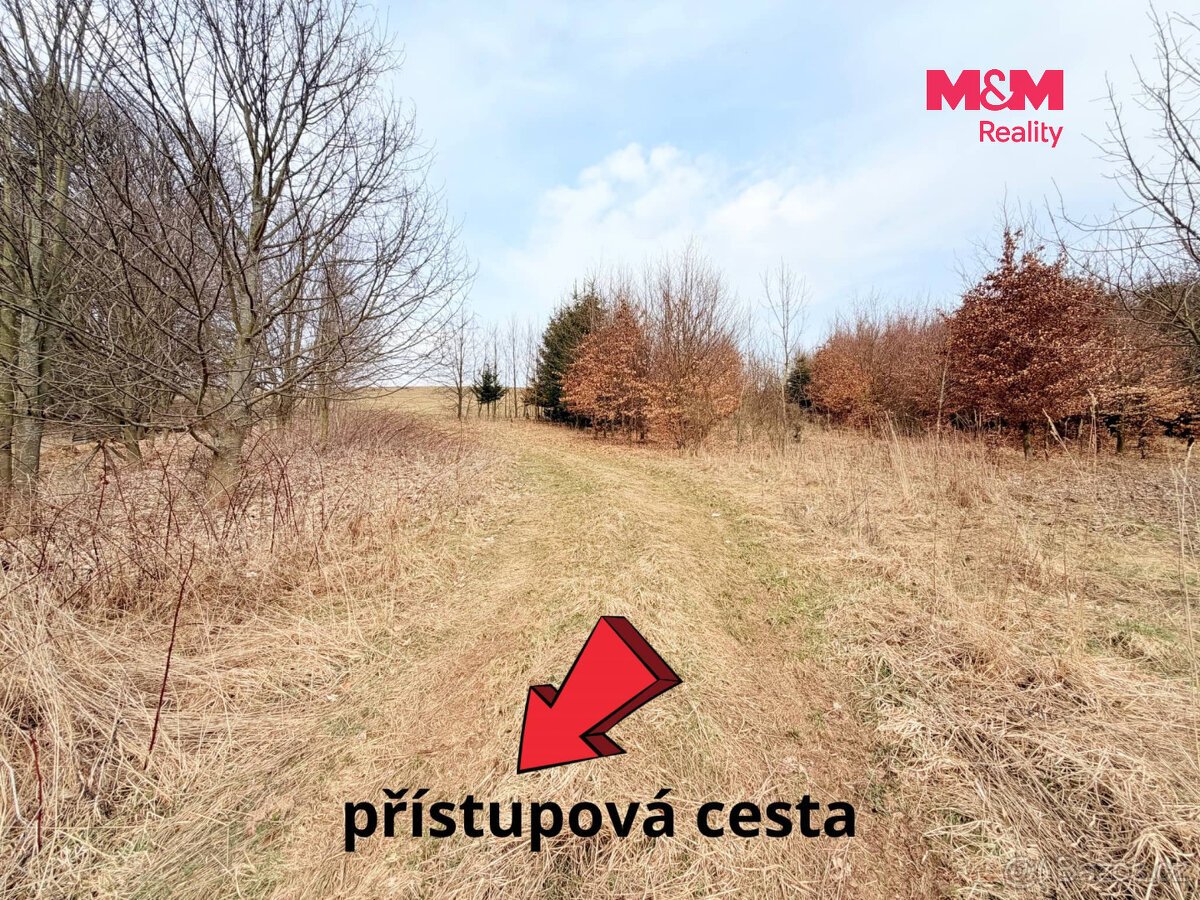 Prodej louky, 7222 m², Lichkov