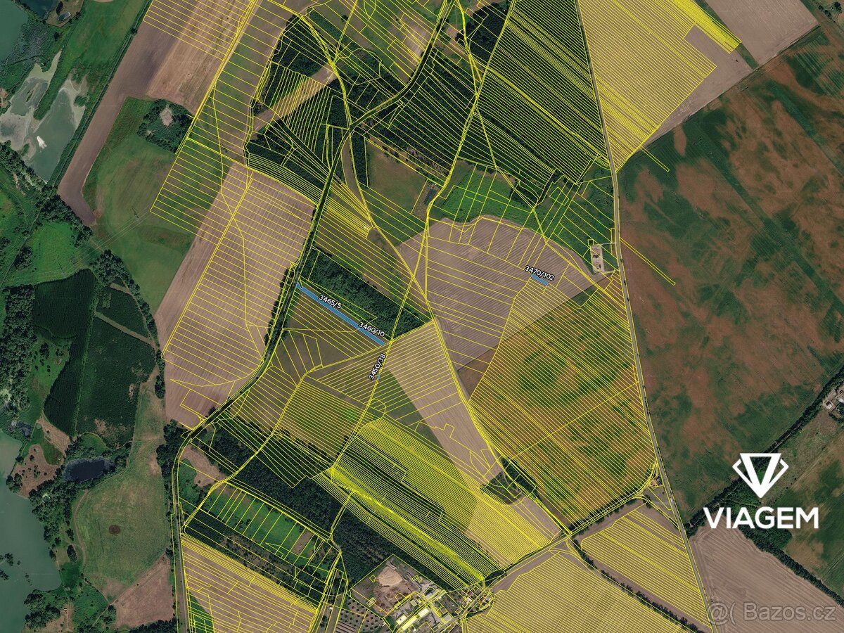 Pole 4 465 m², Podíl 25 % o výměře 1 289 m²