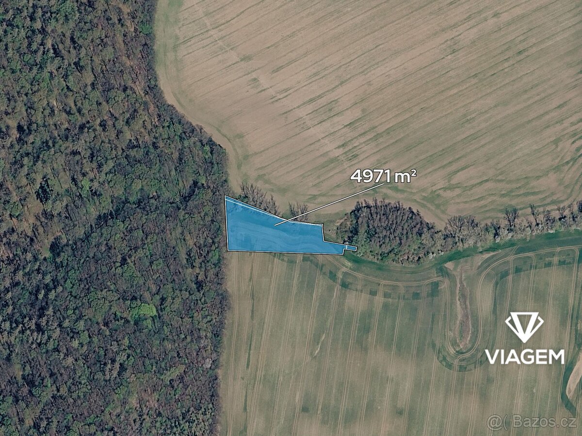 Pole 4 971 m², Podíl 25 % o výměře 1 243 m²