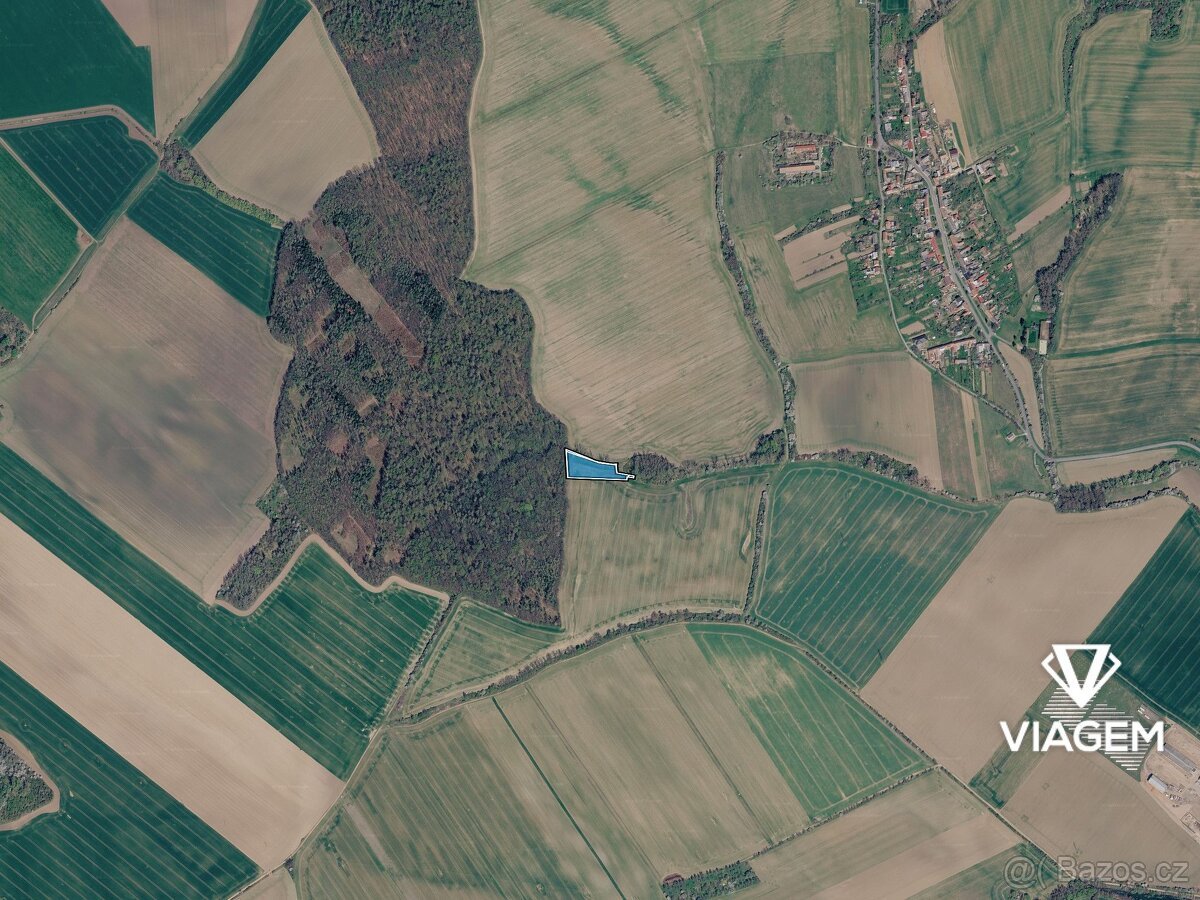 Pole 4 971 m², Podíl 25 % o výměře 1 243 m²
