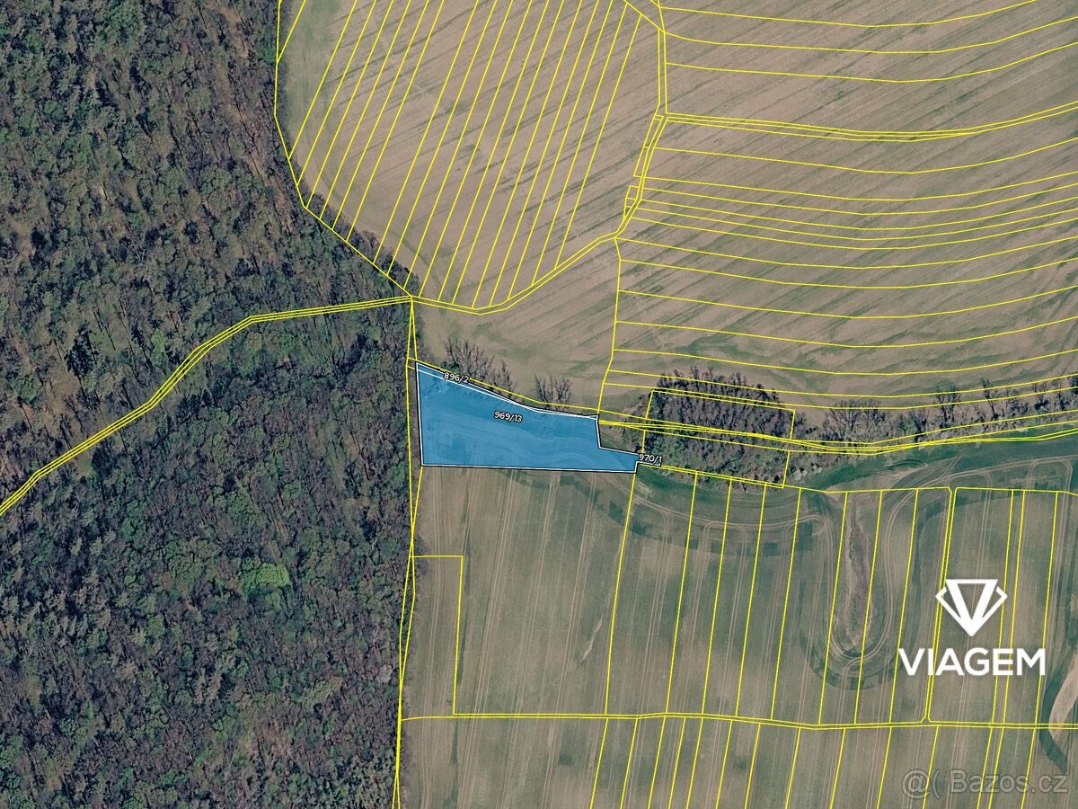 Pole 4 971 m², Podíl 25 % o výměře 1 243 m²