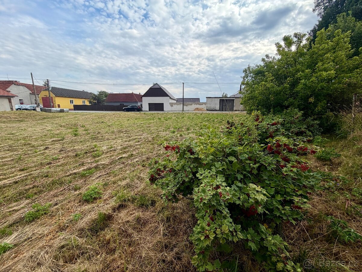 Prodej stavebního pozemku 1 477 m² – Šašovice u Želetavy