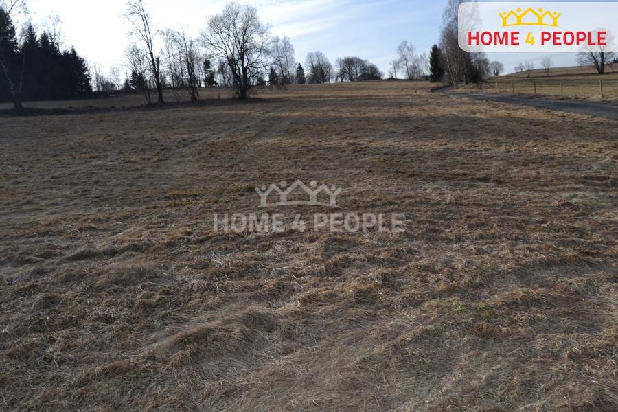Prodej stavebního pozemku CP 9092 m2, Bublava