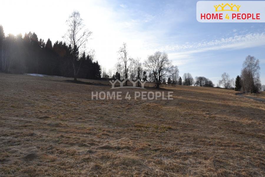 Prodej stavebního pozemku CP 9092 m2, Bublava