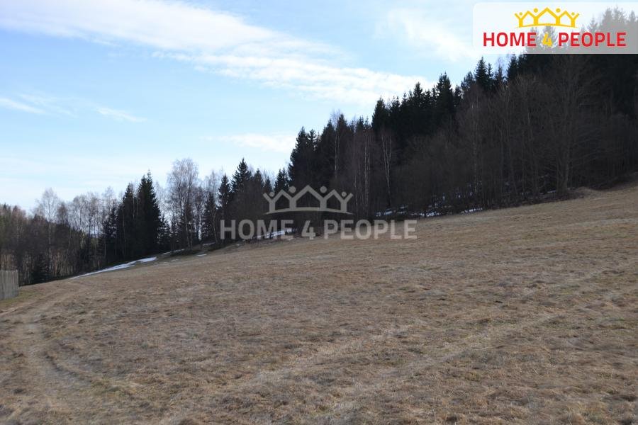 Prodej stavebního pozemku CP 9092 m2, Bublava