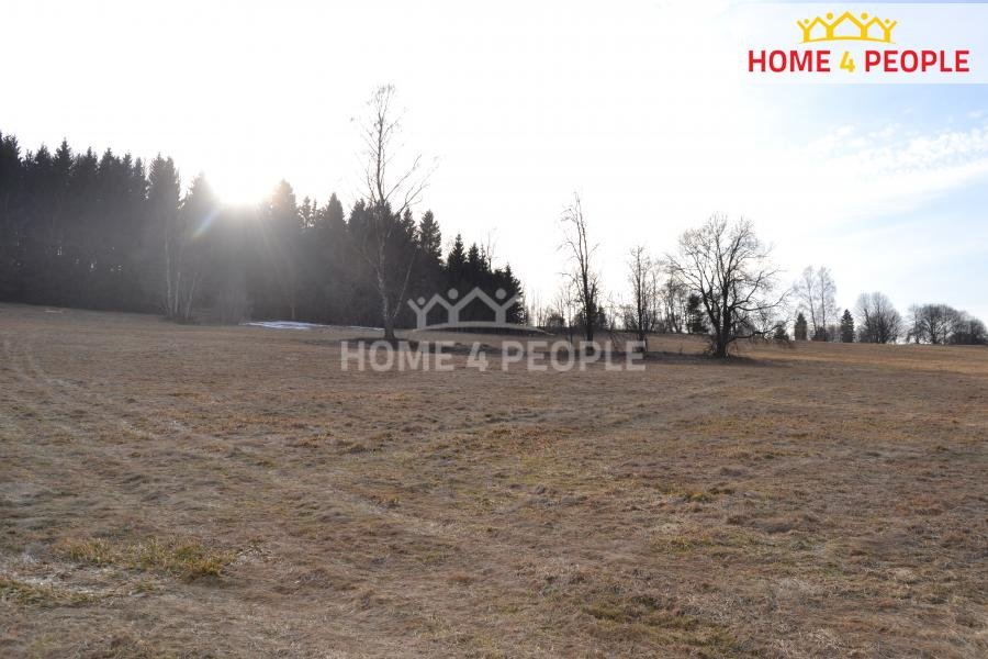 Prodej stavebního pozemku CP 9092 m2, Bublava