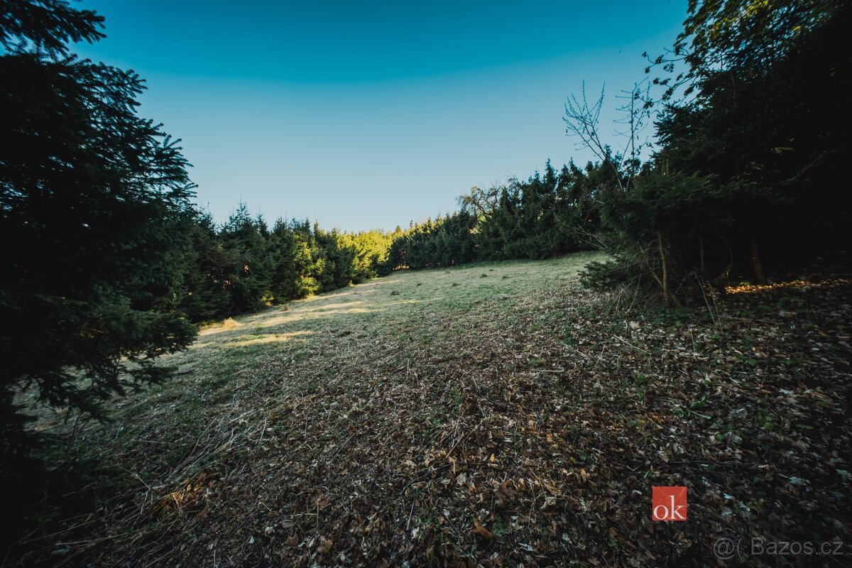 Prodej, pozemky/bydlení, 1284 m2, Sušice , Klatovy [ID 85108