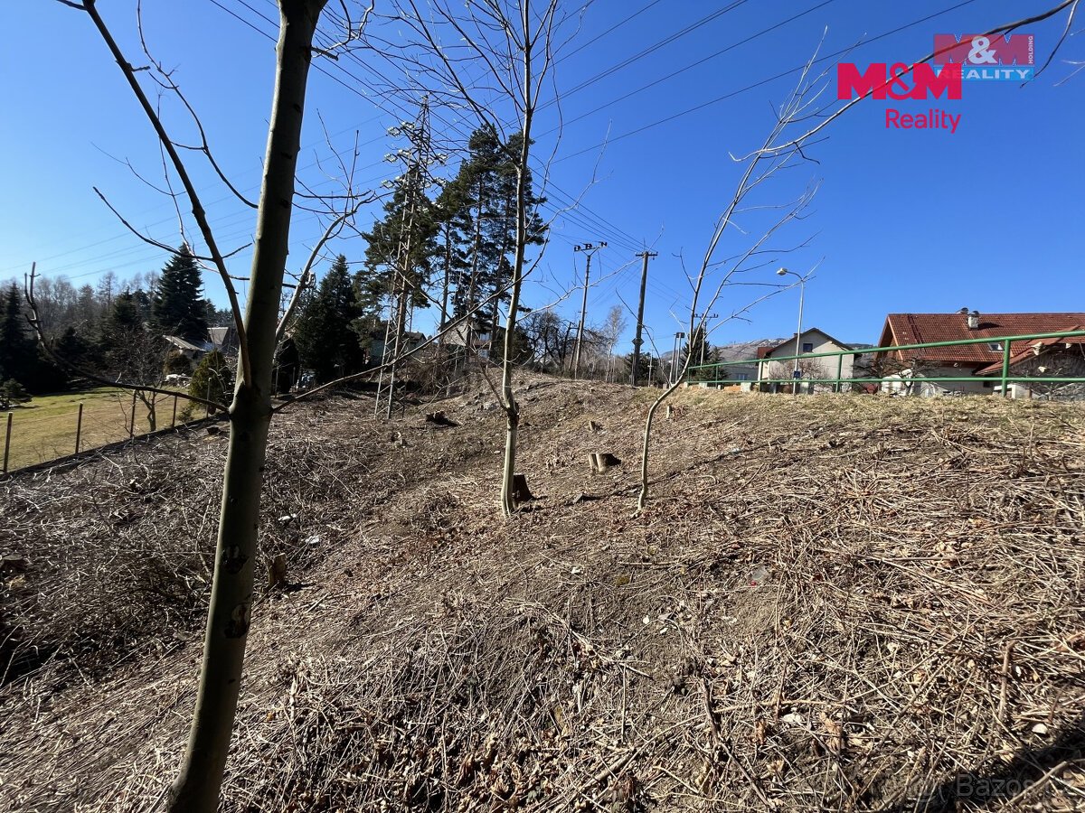 Prodej pozemku k bydlení, 651 m², Frýdlant nad Ostravicí