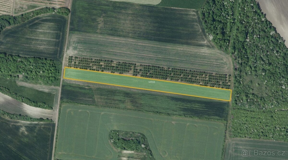 Zemědělská půda, prodej, Želkovice, Louny
