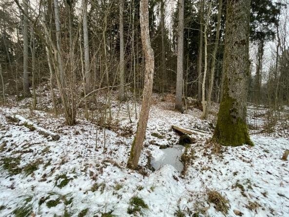 Pozemek obec Smrček u Žumberku - 2.124 m2