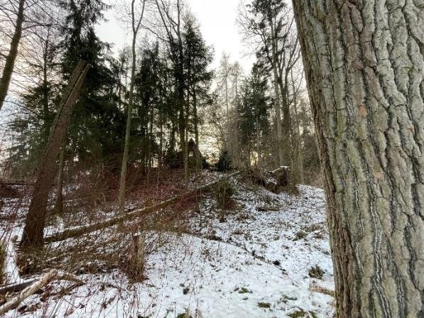 Pozemek obec Smrček u Žumberku - 2.124 m2