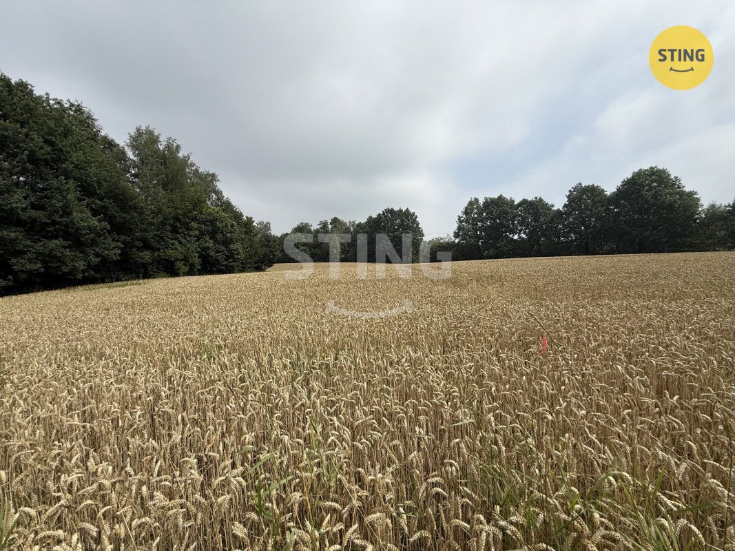 Prodej stavebního pozemku o výměře 1099 m2, obec Boh, 136254