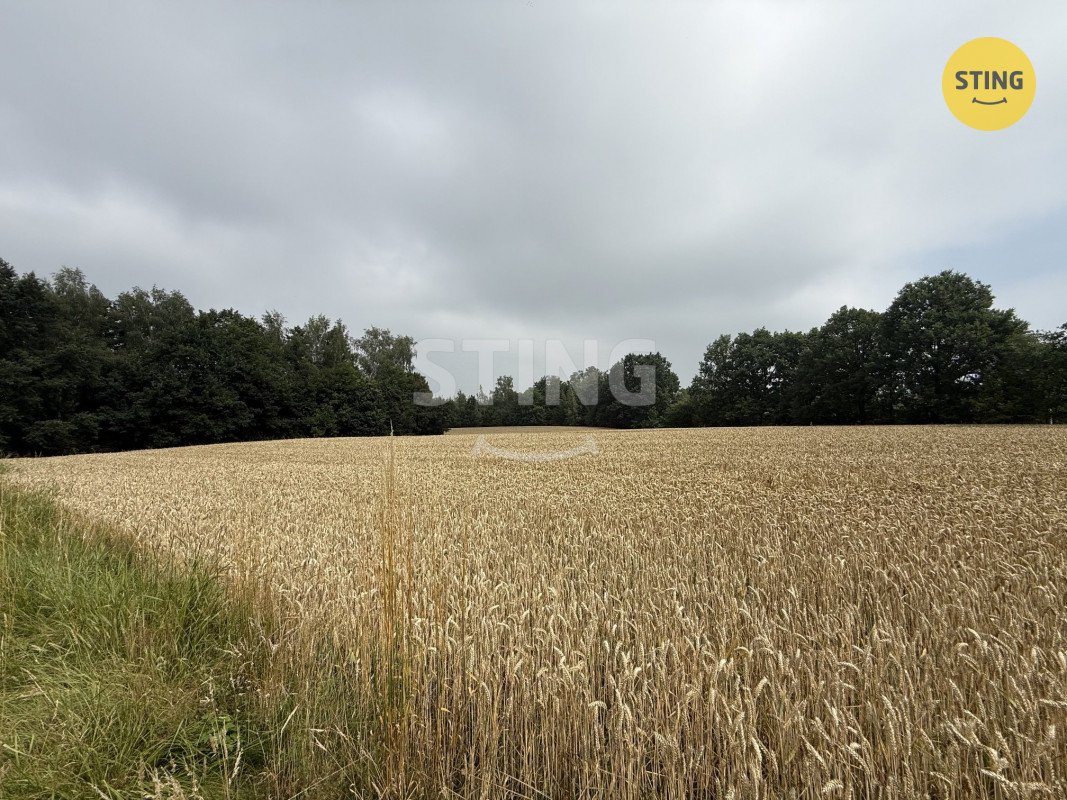Prodej stavebního pozemku o výměře 1099 m2, obec Boh, 136254