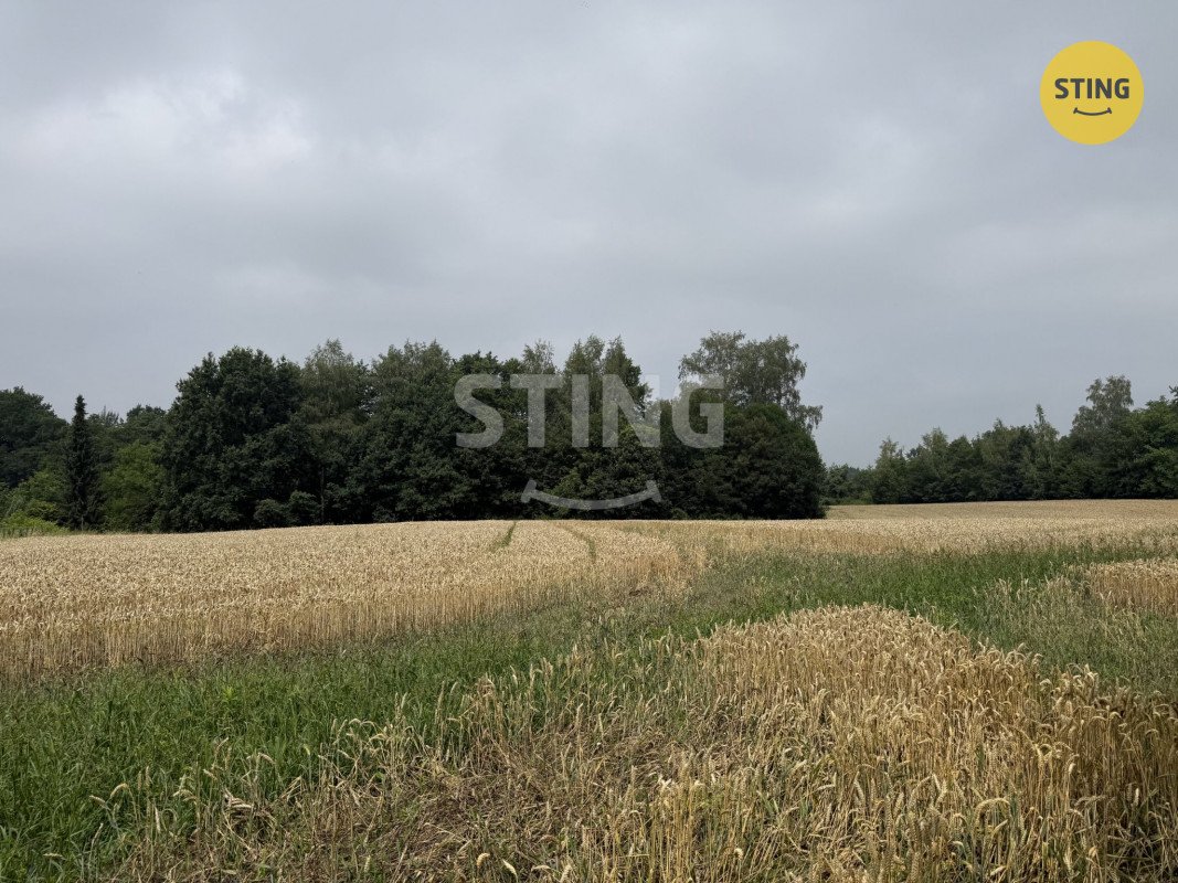 Prodej stavebního pozemku o výměře 1099 m2, obec Boh, 136254