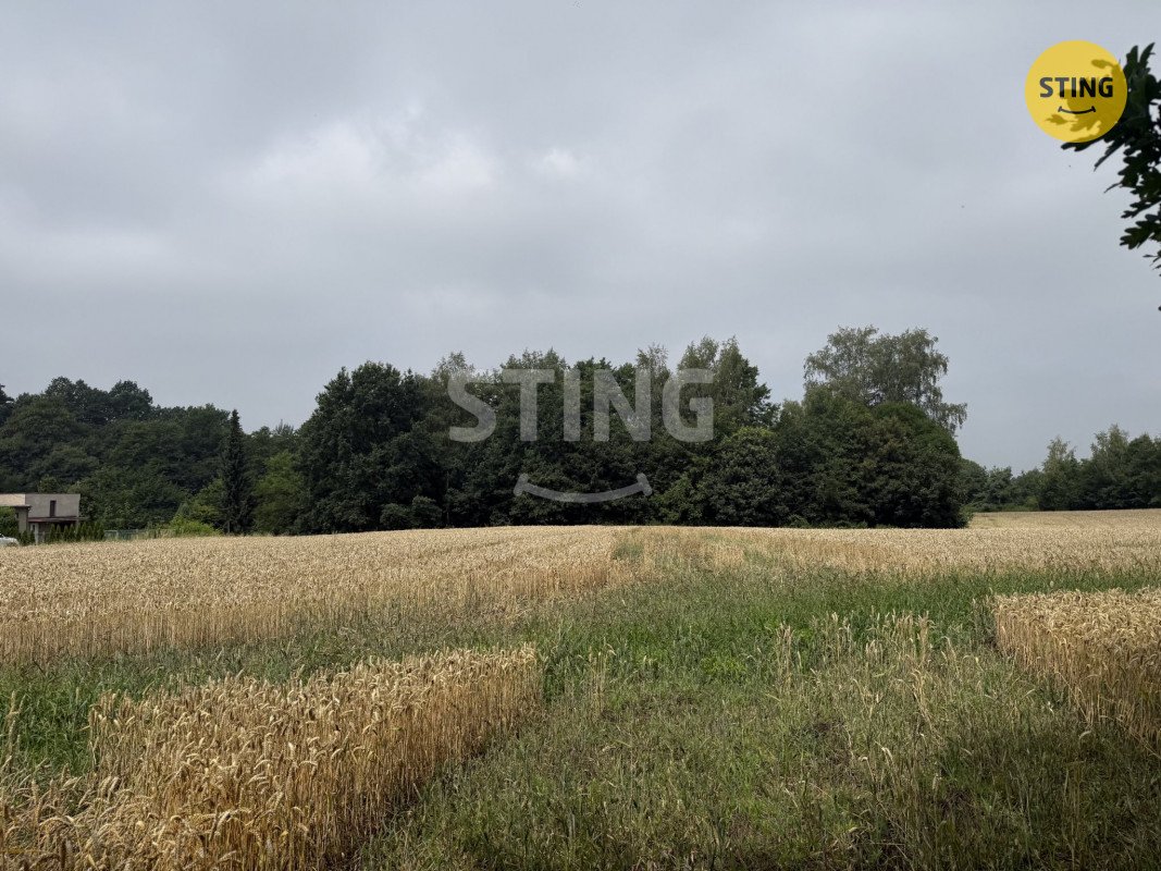 Prodej stavebního pozemku o výměře 1099 m2, obec Boh, 136254