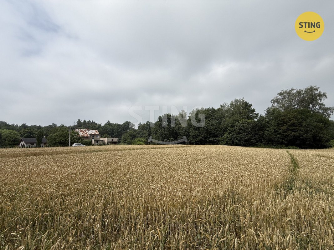 Prodej stavebního pozemku o výměře 1099 m2, obec Boh, 136254