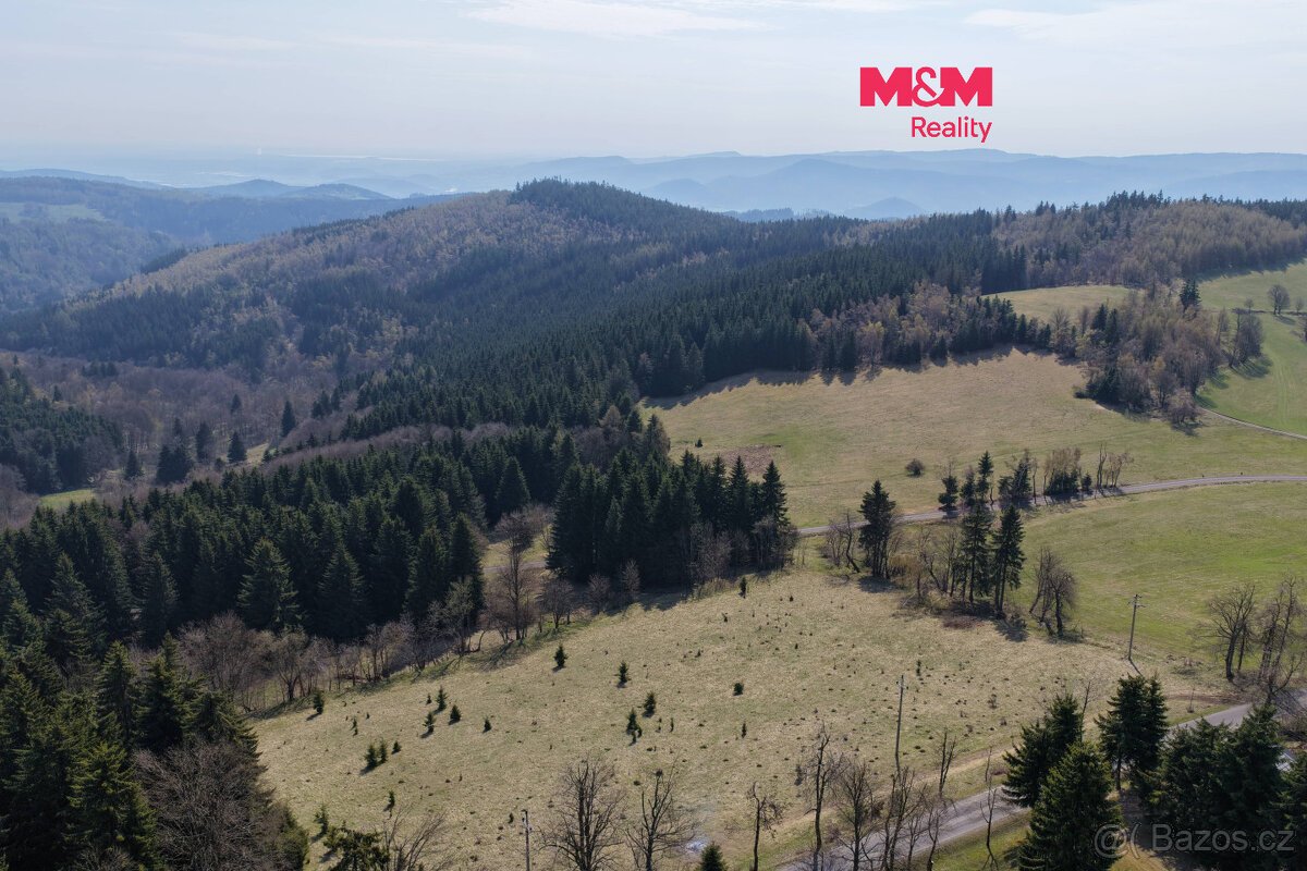 Prodej lesa, 18821 m², Měděnec