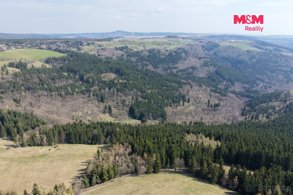 Prodej lesa, 18821 m², Měděnec