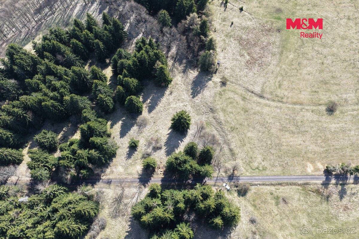 Prodej lesa, 18821 m², Měděnec