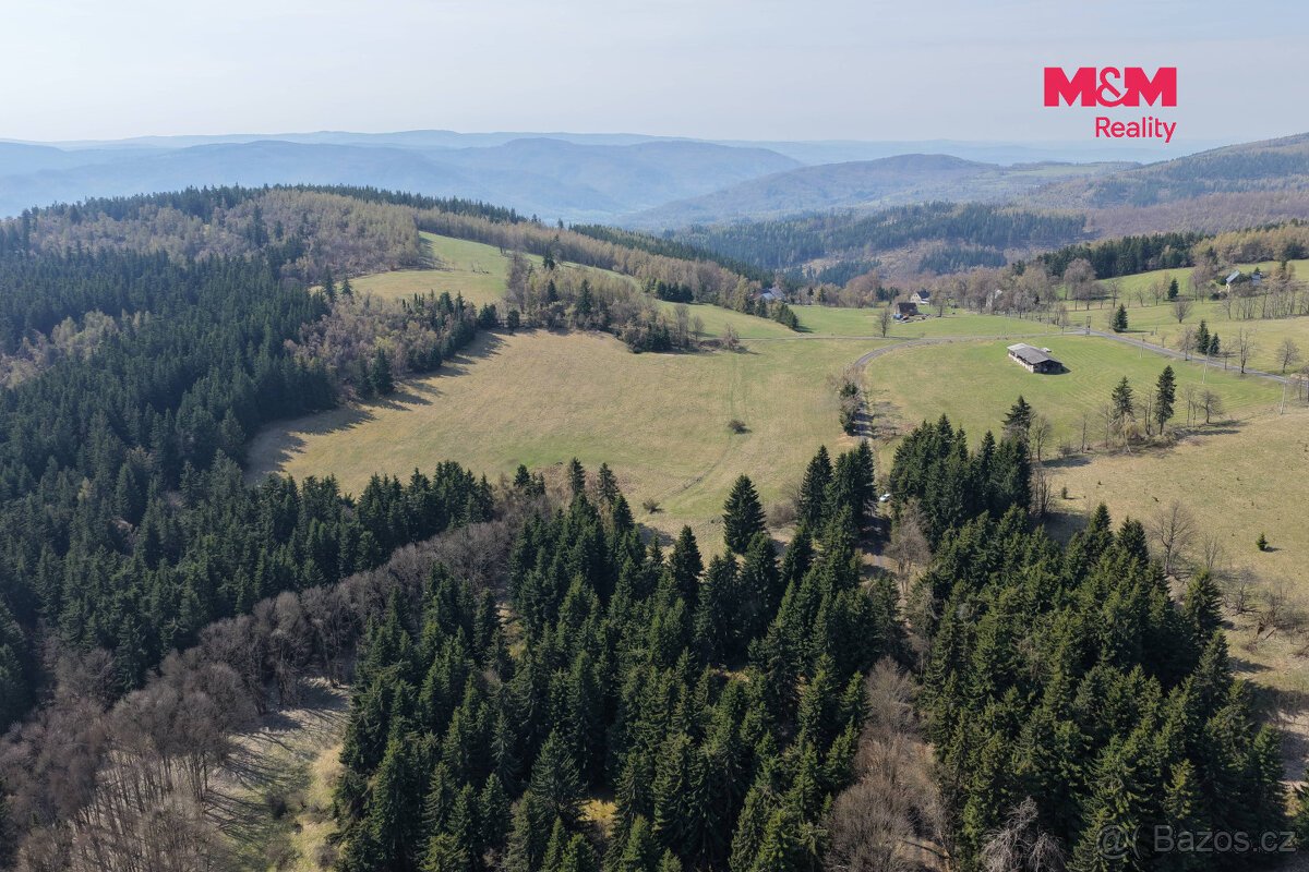 Prodej lesa, 18821 m², Měděnec