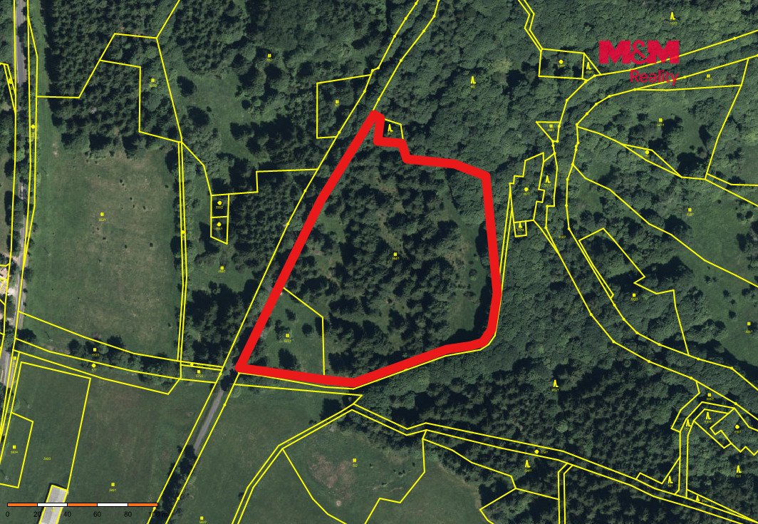 Prodej lesa, 18821 m², Měděnec