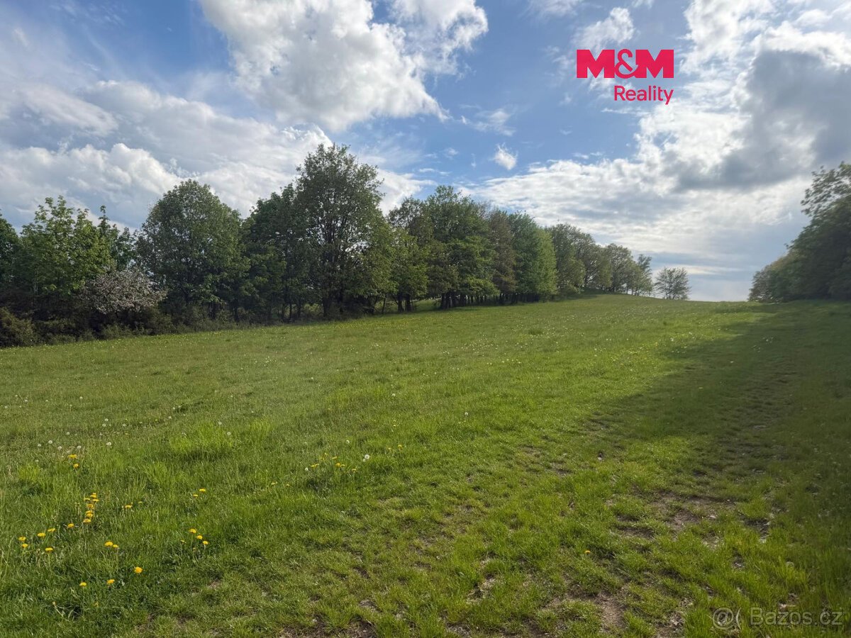 Prodej louky, 41016 m², Jindřišská