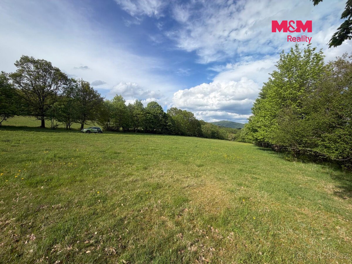 Prodej louky, 41016 m², Jindřišská
