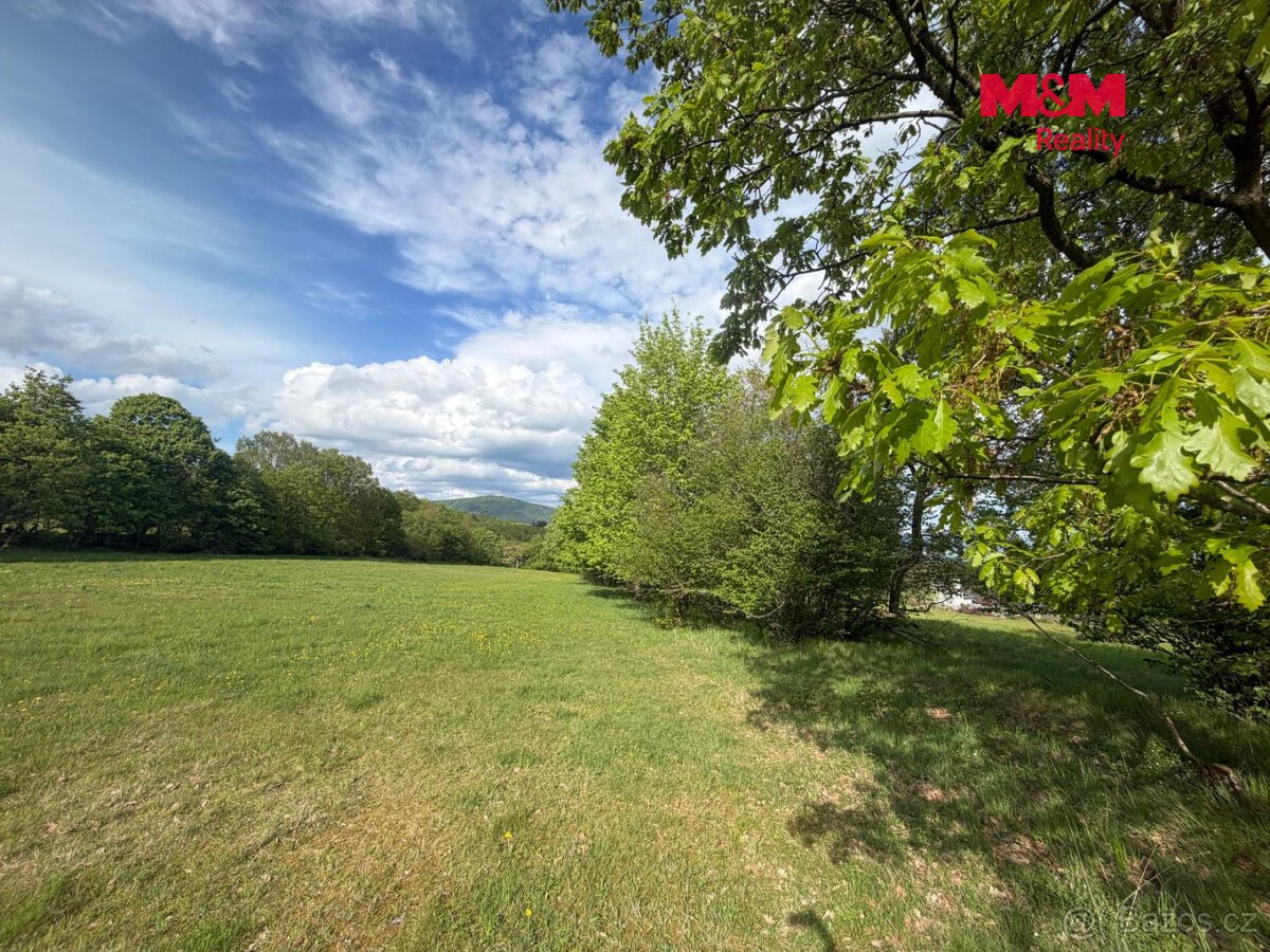 Prodej louky, 41016 m², Jindřišská