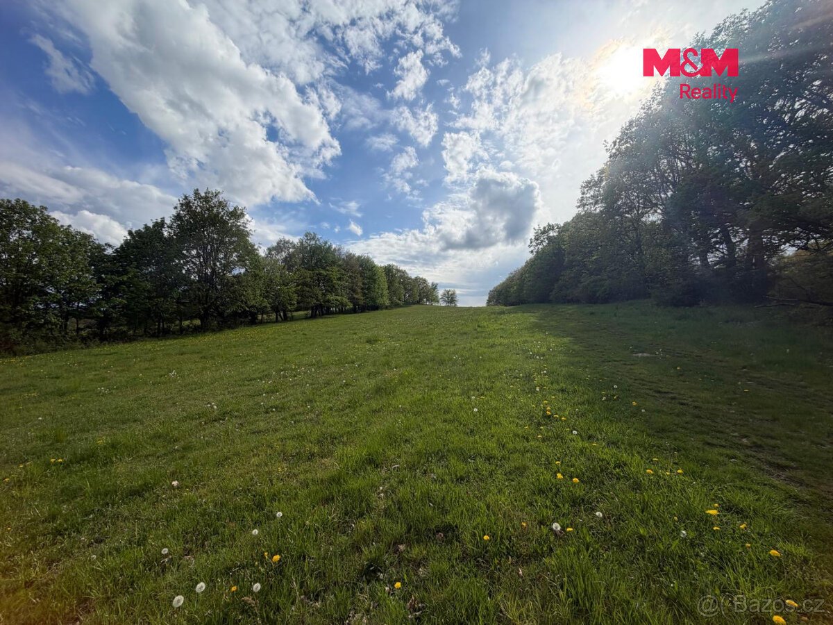 Prodej louky, 41016 m², Jindřišská