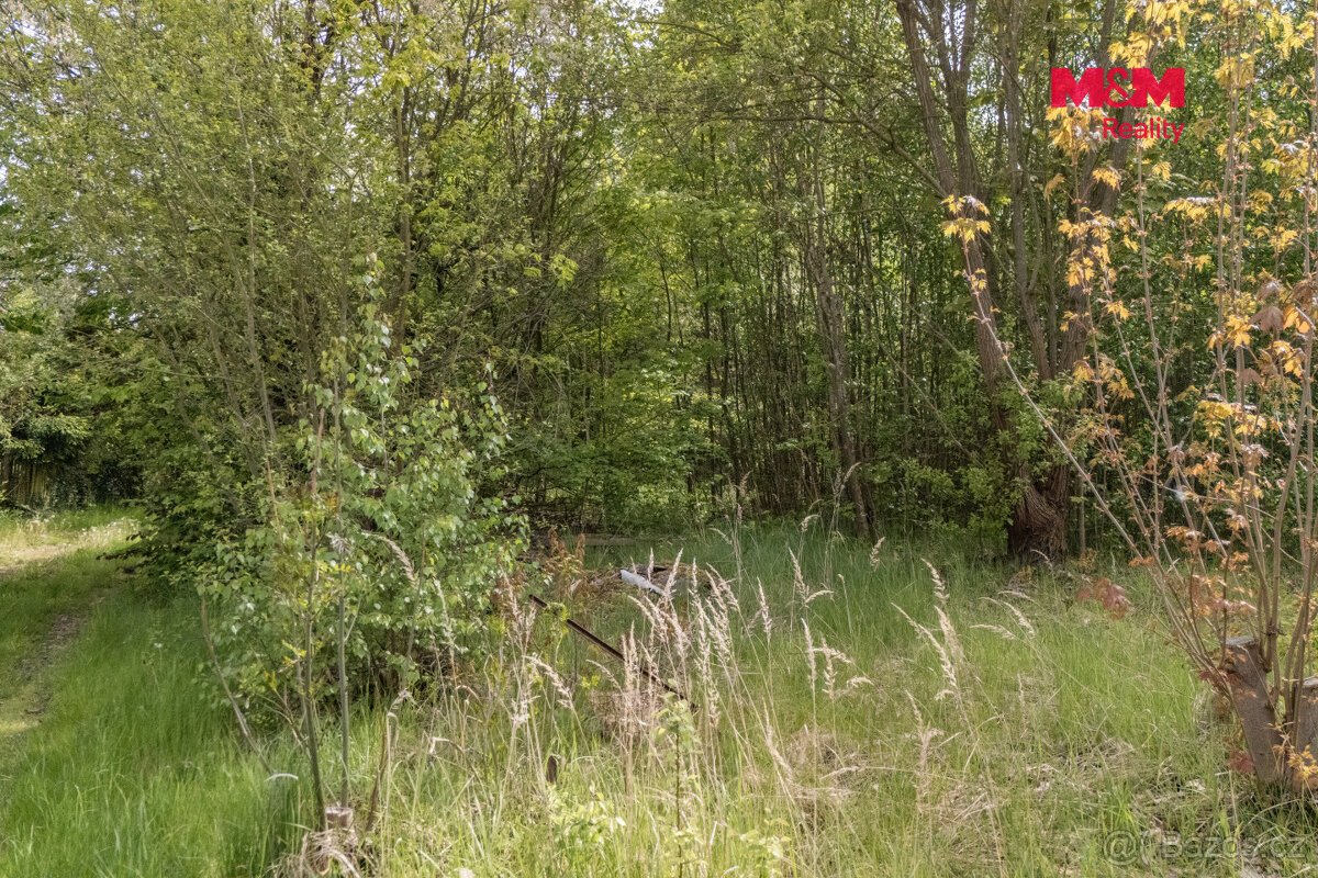 Prodej pozemku k bydlení, 1458 m², Bor