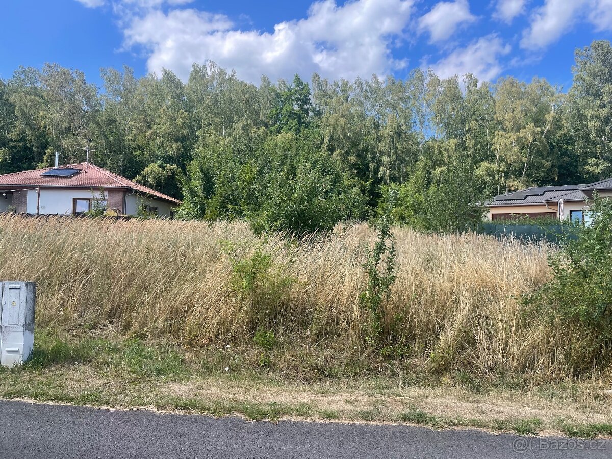 Prodám stavební pozemek v Proboštově 1000 m2.