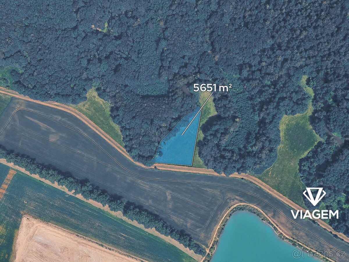 Pole 5 651 m², Podíl 33 % o výměře 1 884 m²