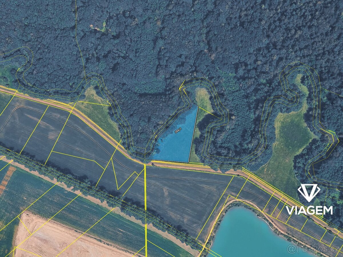 Pole 5 651 m², Podíl 33 % o výměře 1 884 m²