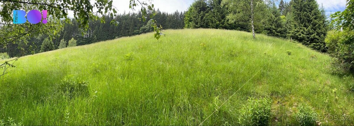 Prodej lesa 2 393 m², Staré Hamry