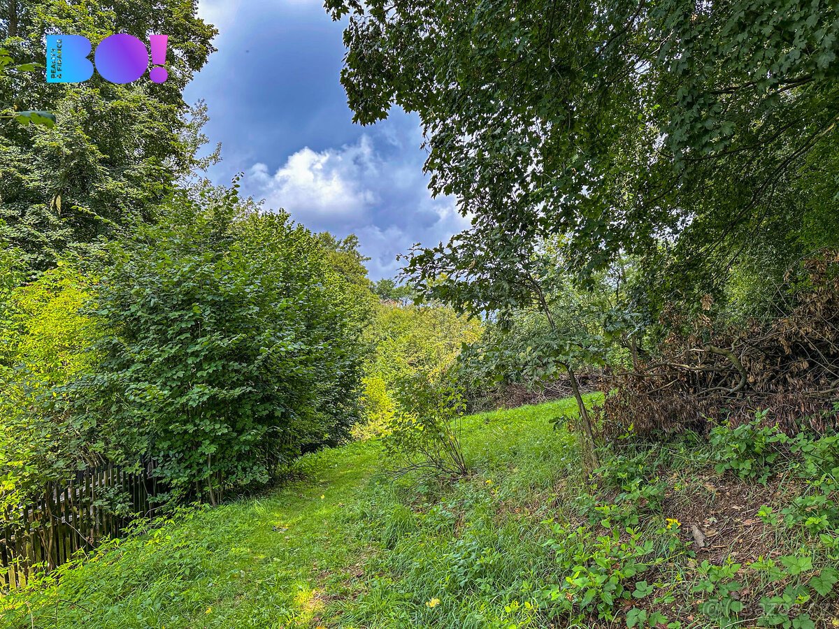 Prodej pozemku pro bydlení 3959 m², Skuhrov