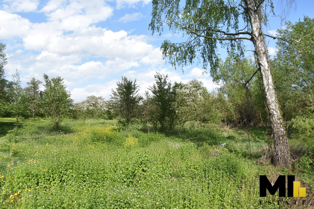 Prodej pozemku pro bydlení, 4941 m2, Polom