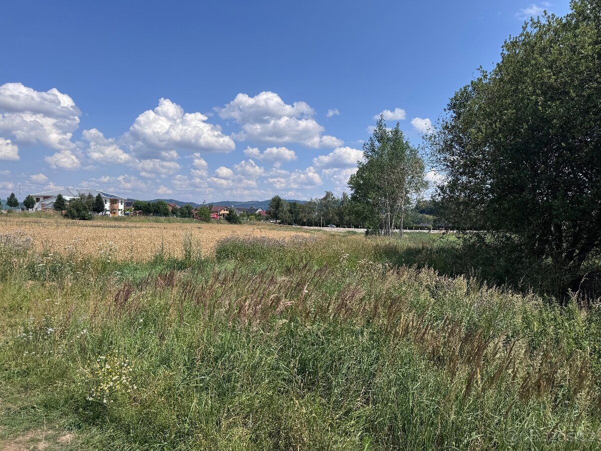 Oldřichov 1209 m2