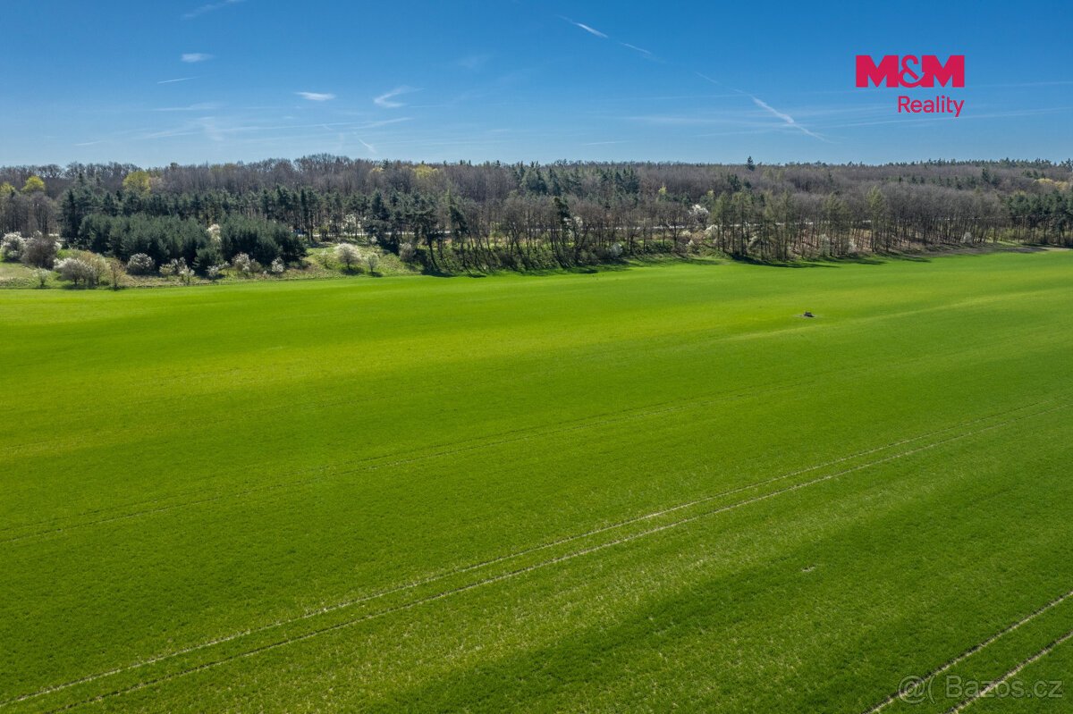Prodej pole, 8786 m², Benátky nad Jizerou